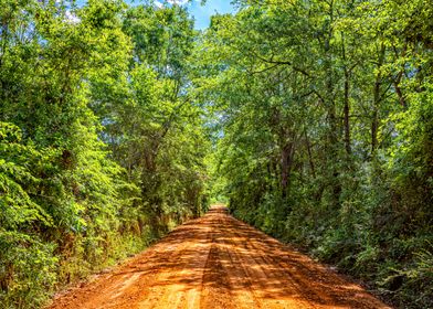 Southern Dirt Road