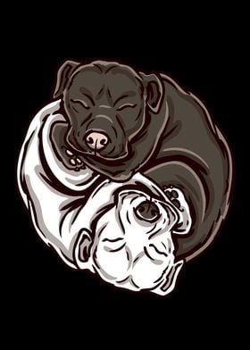 Cute Ying Yang Pitbull