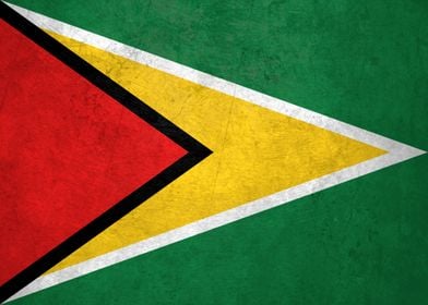 Flag of Guyana on Wall