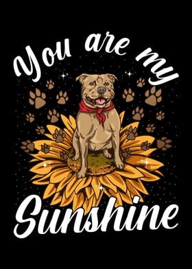 You Are My Sunshine