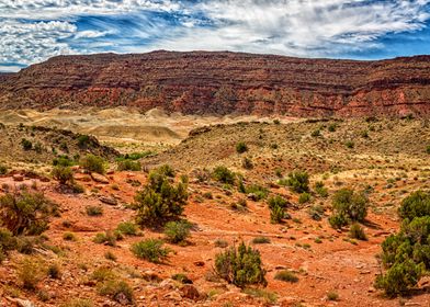 Arches National Park Utah