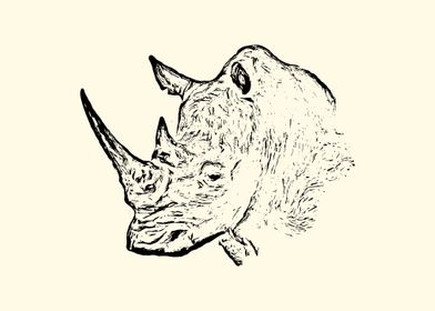 Rhinoceros portrait
