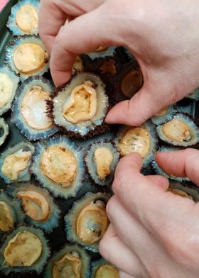 Grilled limpets