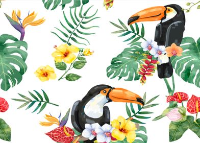 Toucan bird 