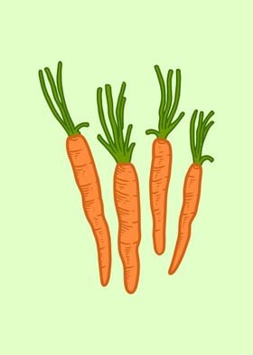 Carrot 