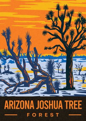 Arizona Joshua Tree Forest