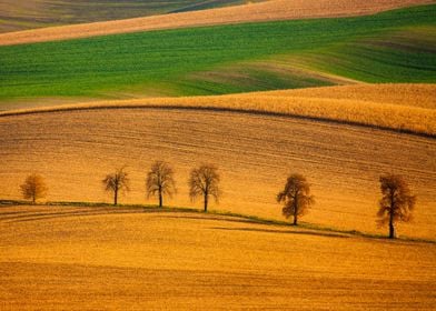 Abstract rural landscape