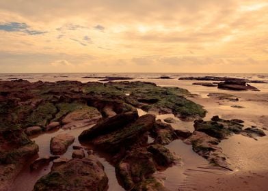 Sidmouth Beach