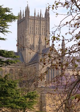 Wells Cathedral