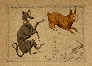 Canis Major Lepus