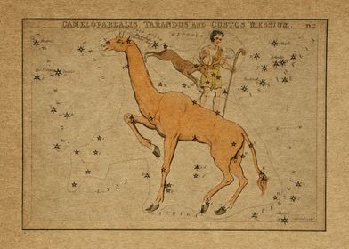 Camelopardalis chart