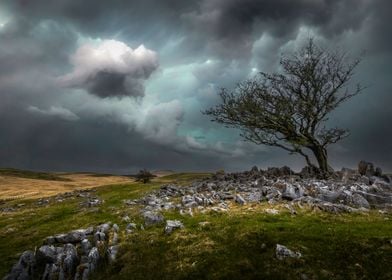 The barren Brecon Beacons