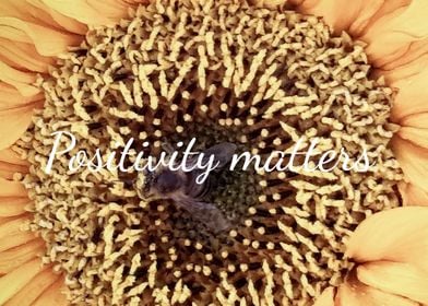 Positivity matters bee 3