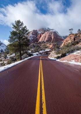 Zion National Park USA