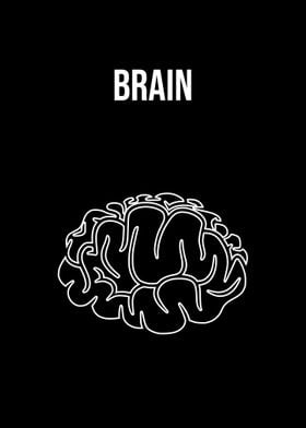 Brain