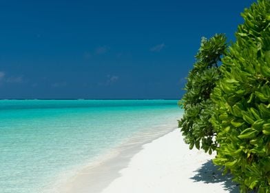 Beach Maldives Travel