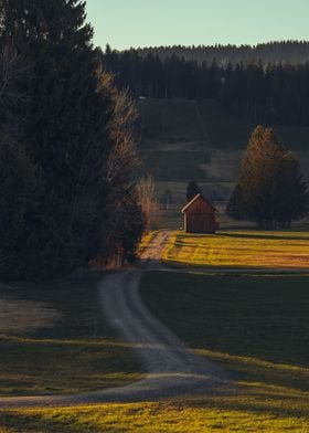 Golden Hour Countryside
