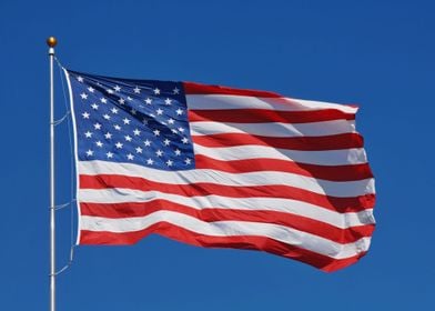 Flag of the United States 