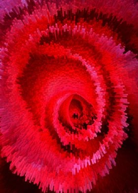 Abstract red rose spiral