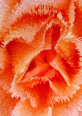 Abstract orange rose bloom