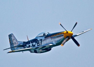 P 51 Mustang