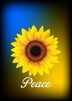 Peace Sunflower
