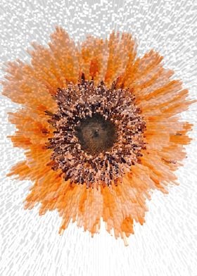 Abstract orange sunflower