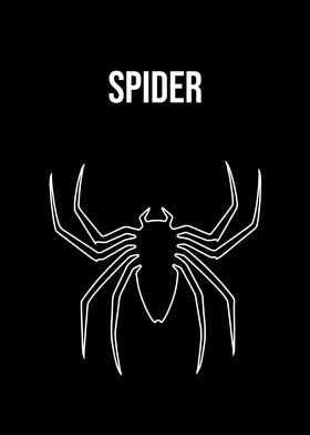 Spider