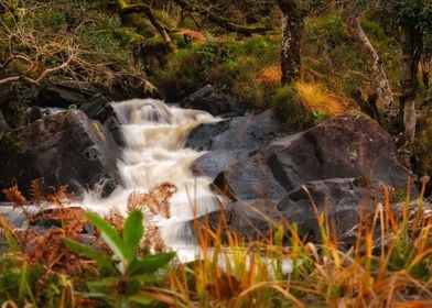 Kerry creeks