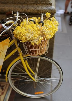 bicycle basket flower