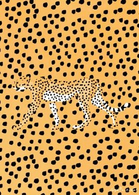 Cheetah