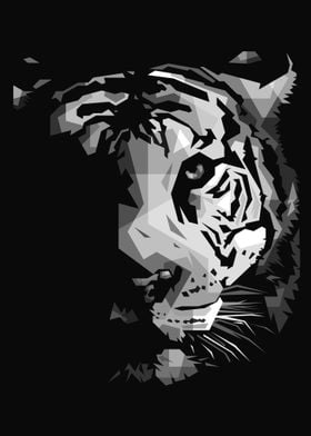 wild tiger head poster
