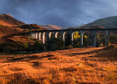 The viaduct