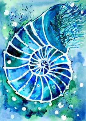 Turquoise Nautilus
