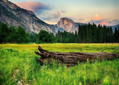 Yosemite National Park