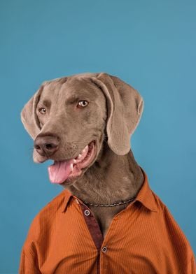 Smart Shirt Dog