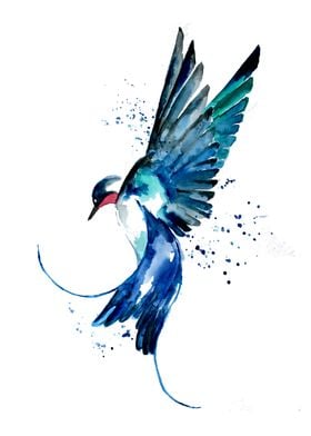 Blue Swallow Bird
