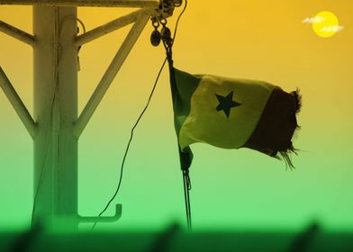 Senegal Flag