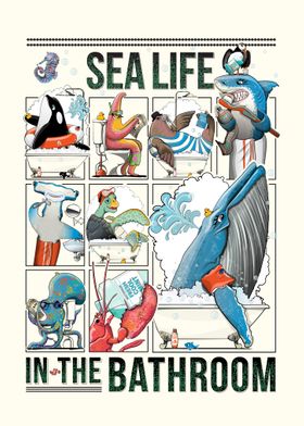 Sea Life in the Bathroom