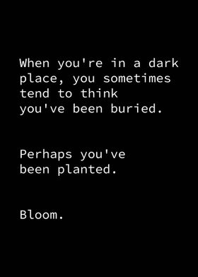 Bloom