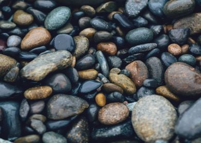 Wet beach pebbles