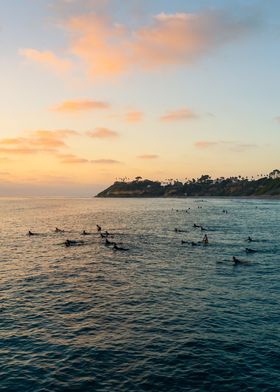 Surfers at Sunset