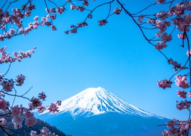 Fuji Mountain Colour