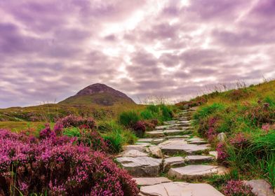 Nature Ireland