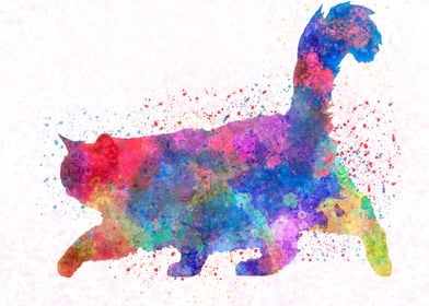 burma cat in watercolor