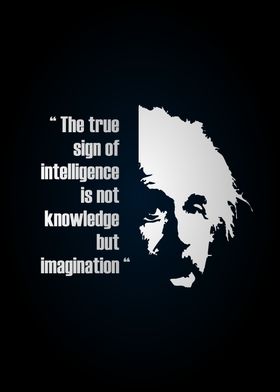 albert einstein quotes