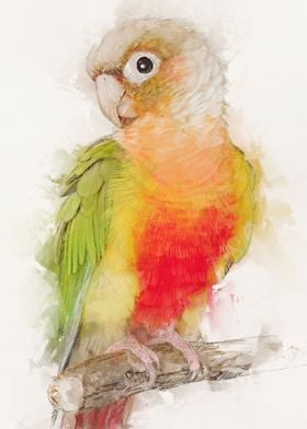 METAL MAGNET Parrots Birds Red Green Orange Digital Watercolor Art MAGNET 