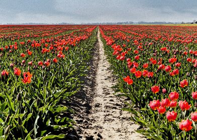 Bulb field Northern Nether