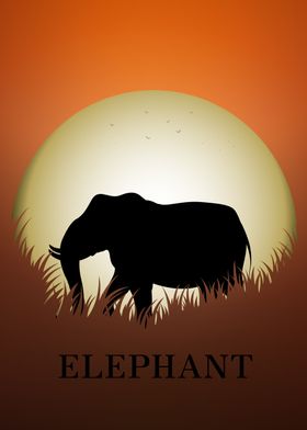 Elephant Animal