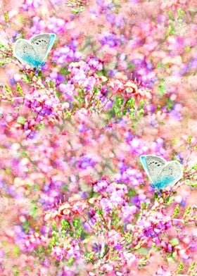 Blue Butterflies